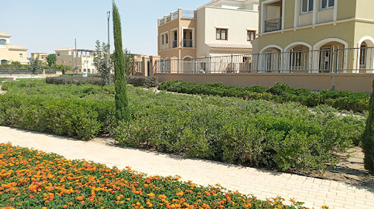 MiVida Clubhouse