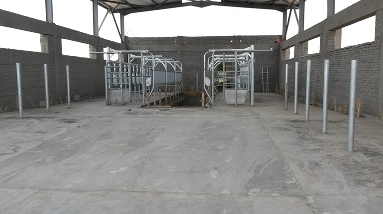Naeem Farm
